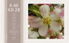 Mm0002786.jpg