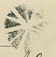 Johvi-tummtempel-1914.jpg
