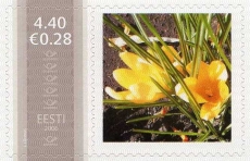 Mm0003062.jpg