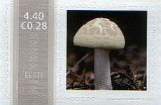 Mm0004667.jpg