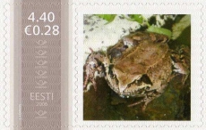 Mm0002488.jpg