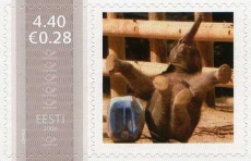 Mm0003827.jpg