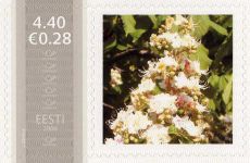Mm0002876.jpg