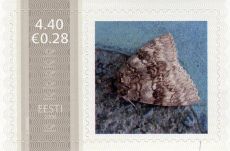 Mm0002303.jpg