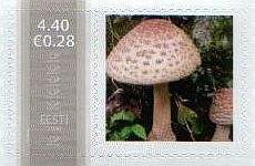 Mm0004668.jpg