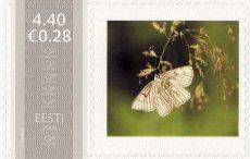 Mm0002675.jpg