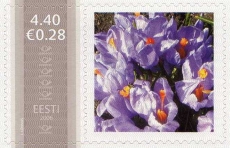 Mm0003061.jpg