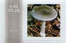 Mm0004670.jpg