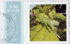 Mm0002603.jpg