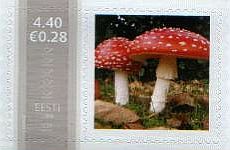 Mm0004663.jpg