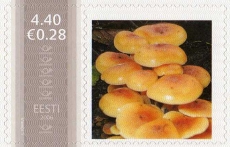 Mm0002345.jpg