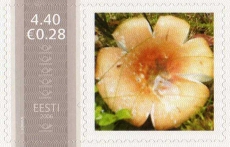 Mm0003077.jpg
