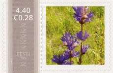 Mm0002785.jpg