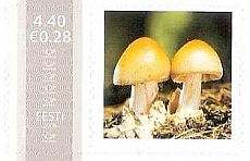 Mm0004309.jpg